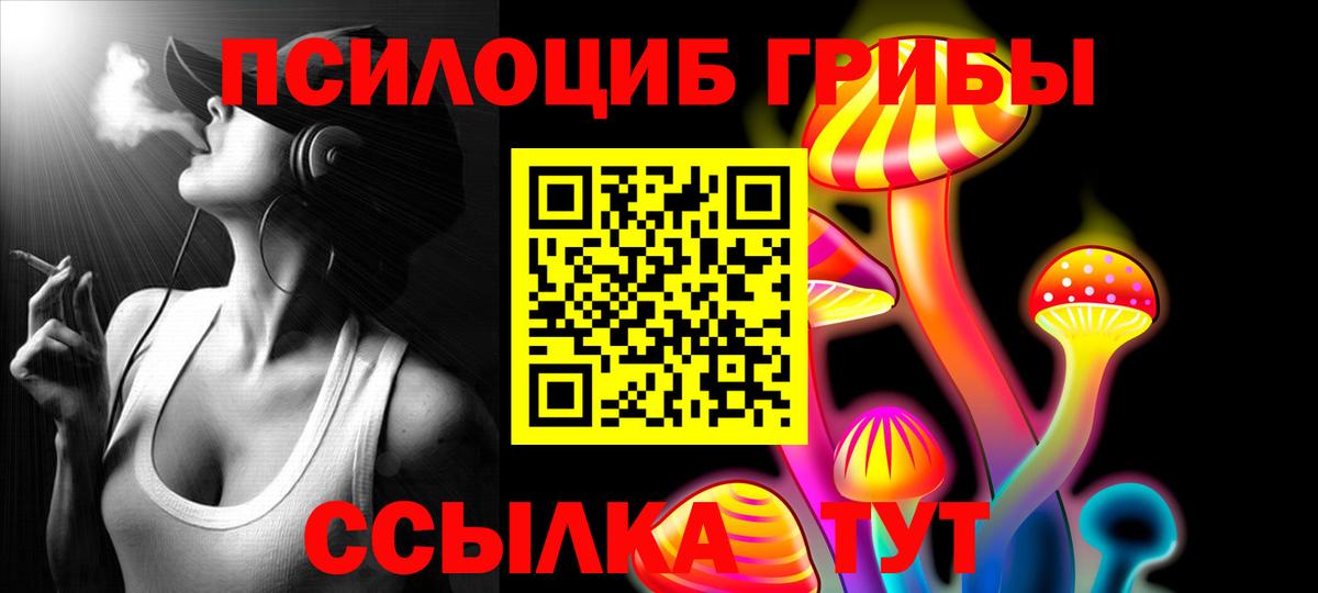 Томск  Галлюциногенные грибы прущие грибы  Вход с VPN 